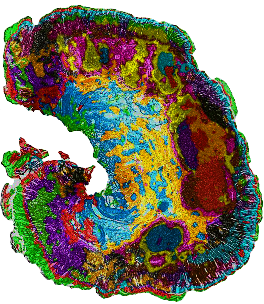 Rong Fan Laboratory – Rong Fan Laboratory – Yale University Biomedical ...